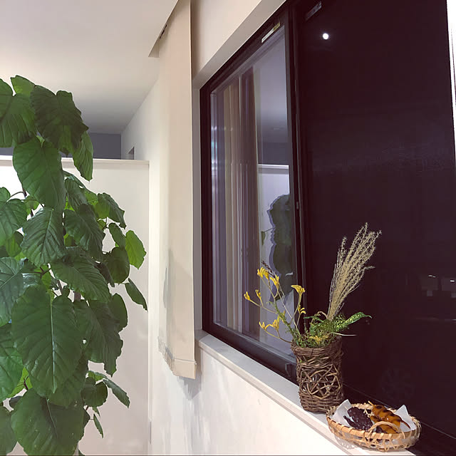 mint_homeさんの実例写真