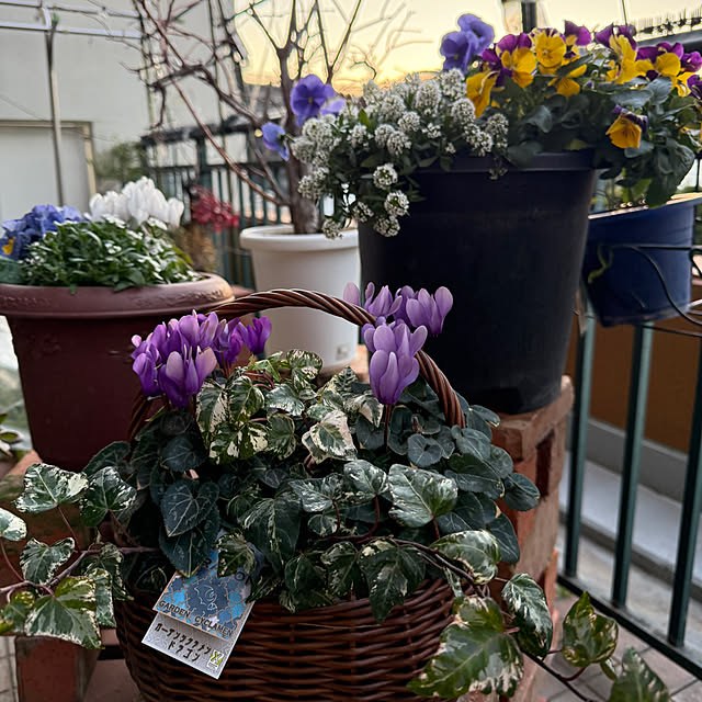 Aqettyさんの部屋