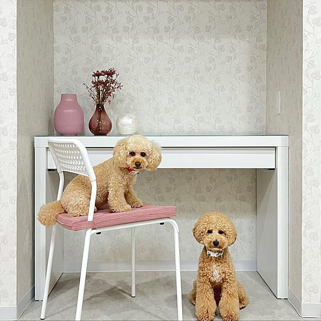 lovelovepoodleさんの実例写真