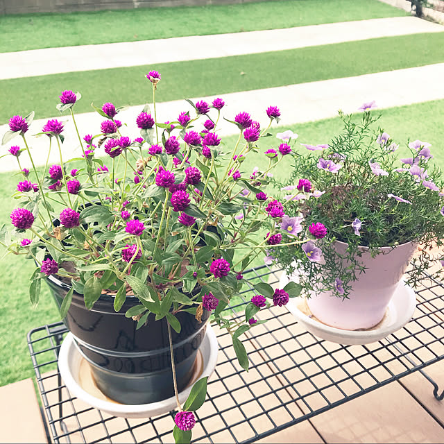 flowerさんの実例写真