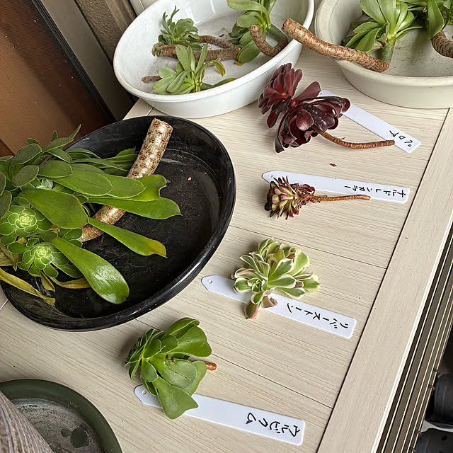 koshiregutyoさんの部屋