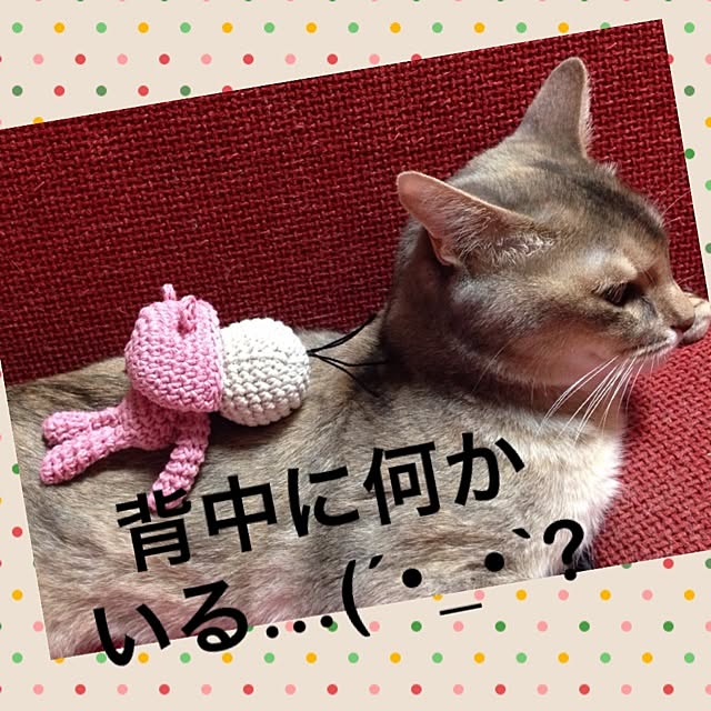 ponさんの実例写真