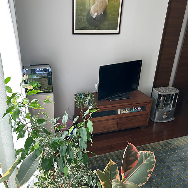 etsuさんの部屋