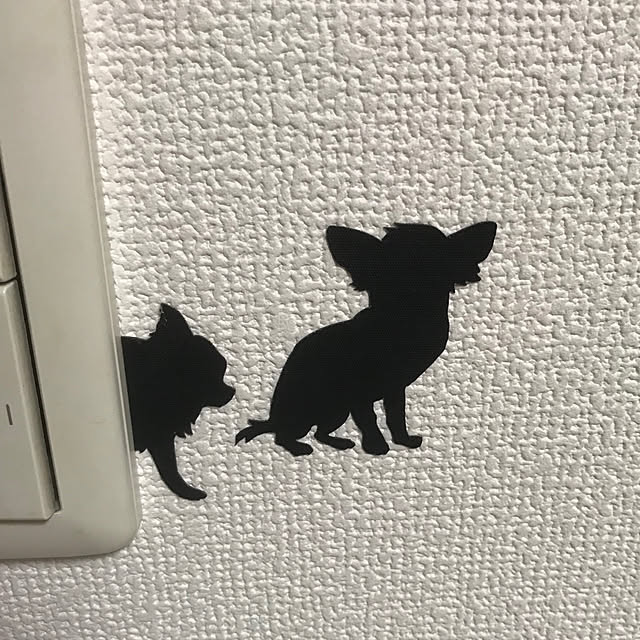 kokichi662668さんの実例写真