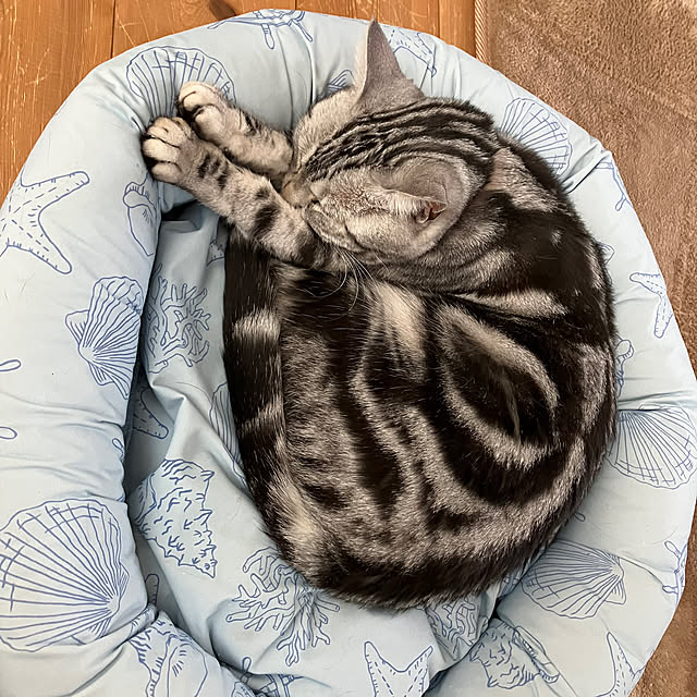 wahahaさんの部屋
