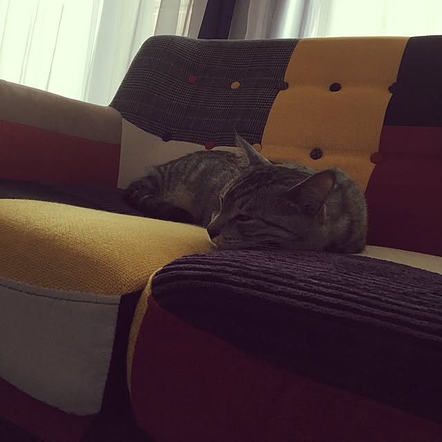 Haruさんの実例写真