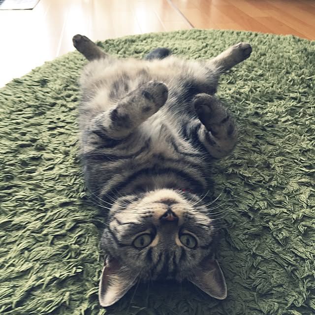 hiyupan88さんの実例写真