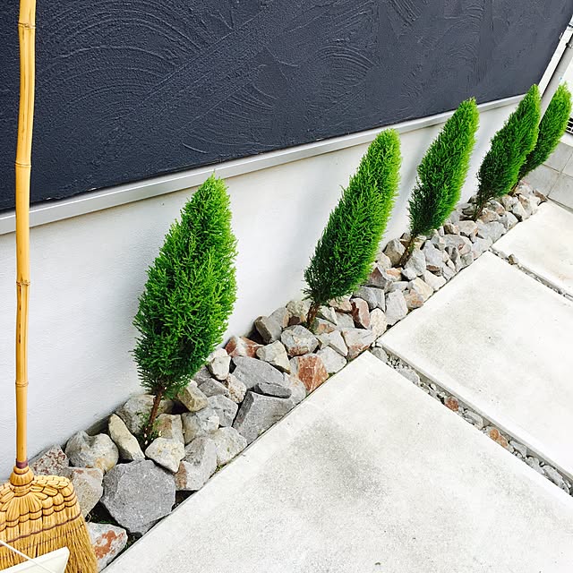 matoryosikanakoさんの実例写真