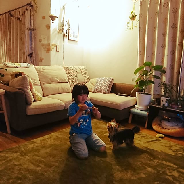 akiさんの実例写真