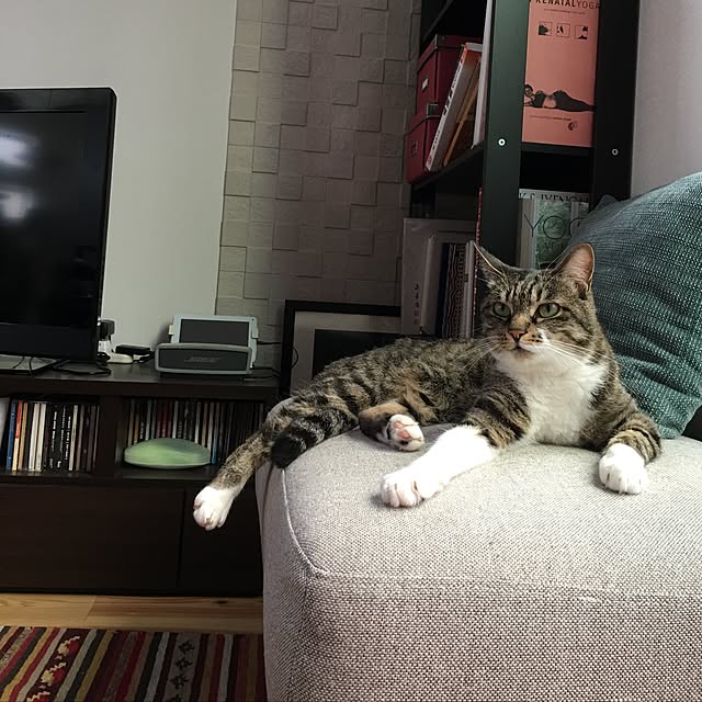 Masaoさんの実例写真