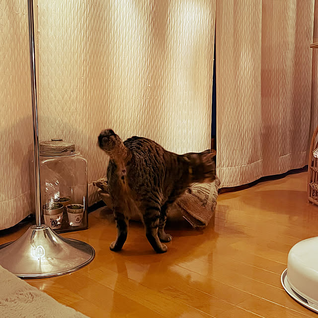 Mさんの実例写真