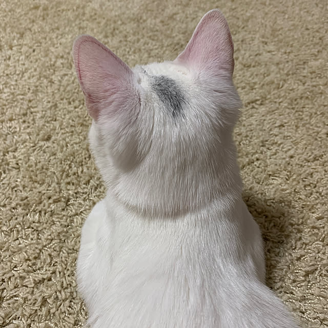 keiさんの実例写真