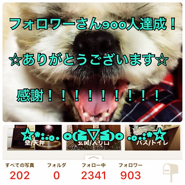 lenkaさんの実例写真