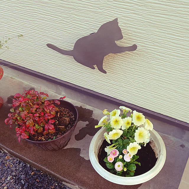 玄関/入り口/ねこ/ねこばか/ねこのいる風景/ねこが好き...などのインテリア実例 - 2022-04-14 13:11:08