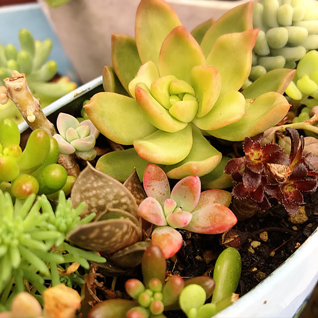 **yuu**さんの実例写真