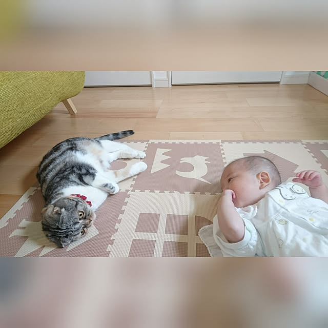 takiko0407さんの実例写真