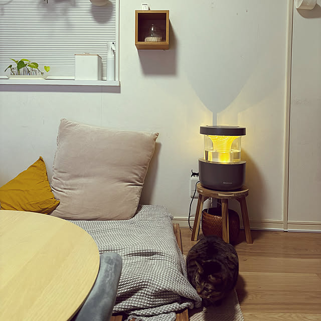 masamasaさんの部屋
