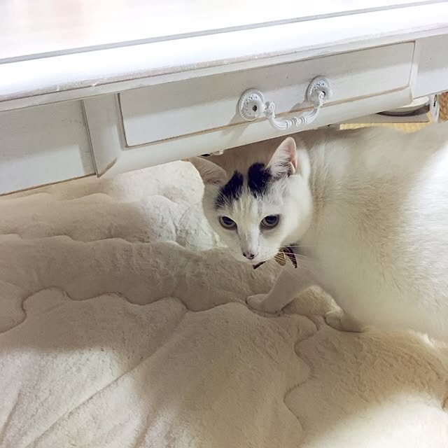 miさんの実例写真