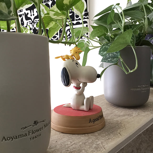 Yukikoさんの実例写真