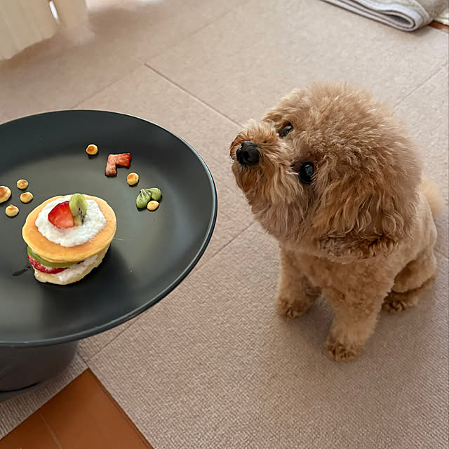 kawauso15さんの部屋