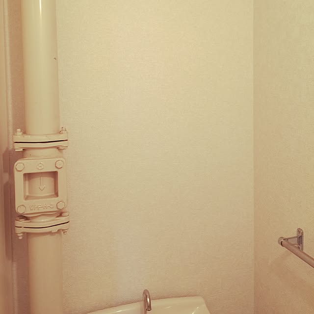 Sanaeさんの実例写真