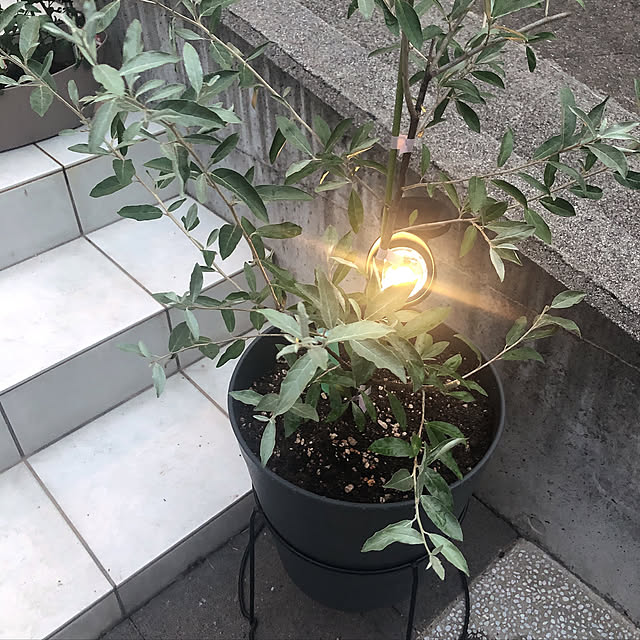 minRinさんの実例写真