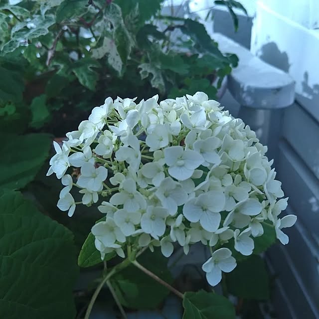 kiyosukeさんの部屋