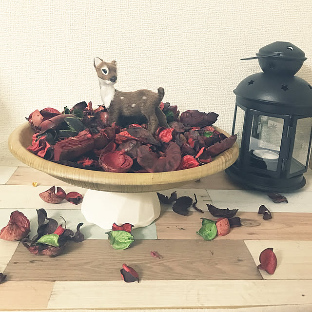 Annyさんの実例写真