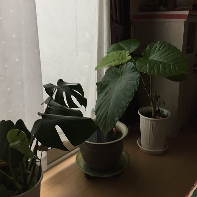 emiさんの実例写真