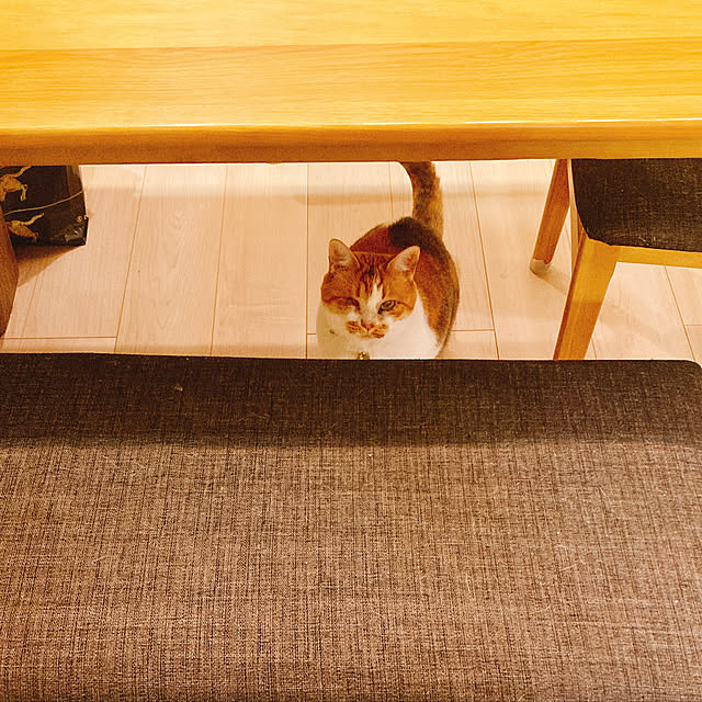 mariさんの実例写真