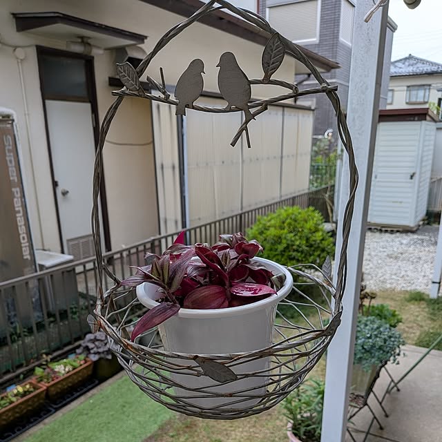 Renさんのお部屋の写真