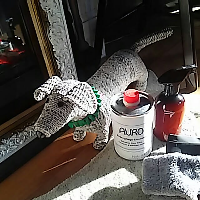 spinetailさんの実例写真