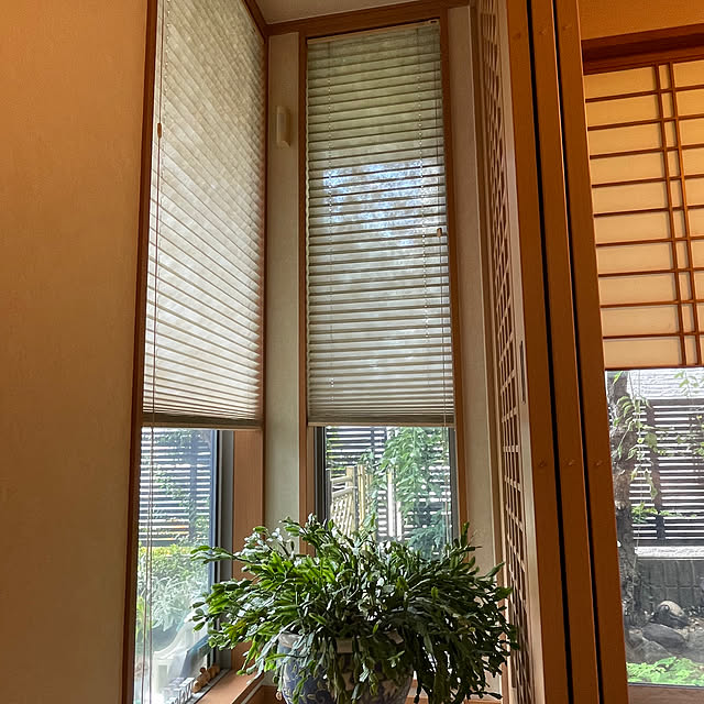 kuikoさんの実例写真