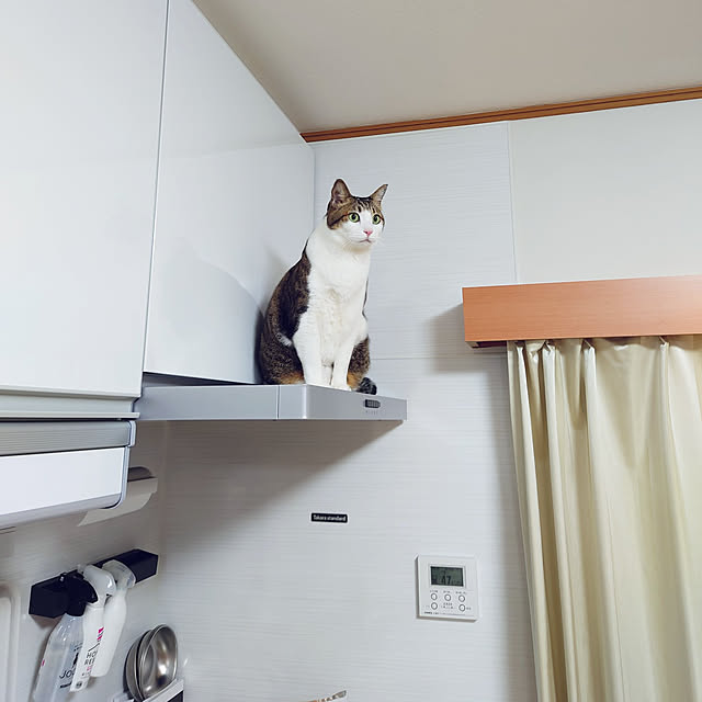 nachiさんの実例写真