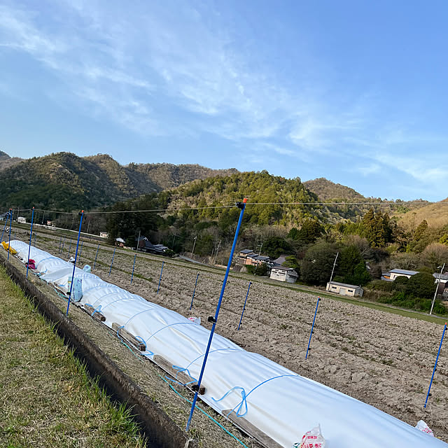 cota2さんの部屋