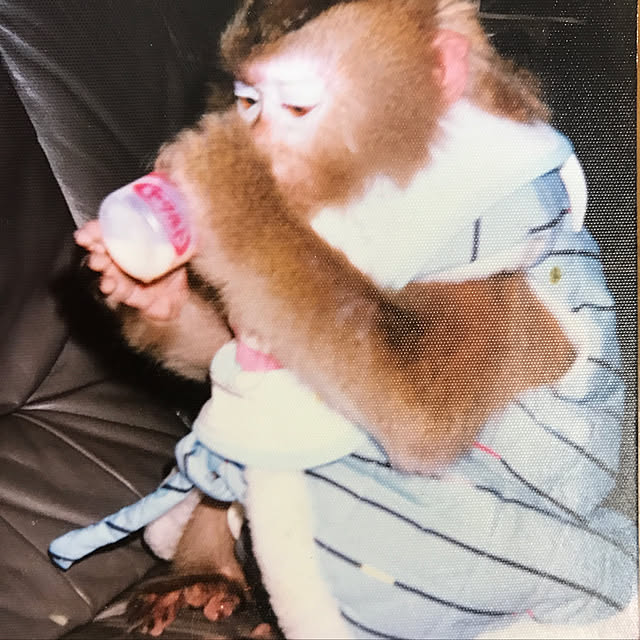 BUNさんの実例写真