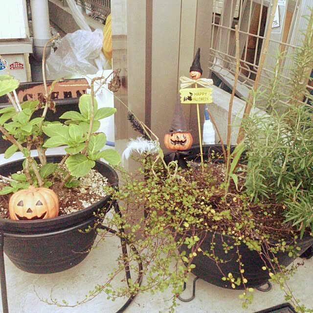 kumaさんの実例写真