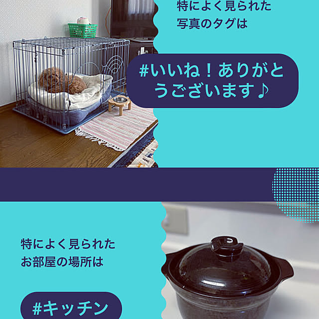 ash1024さんの実例写真