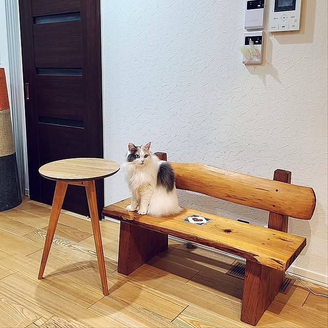 akiko6193さんの部屋