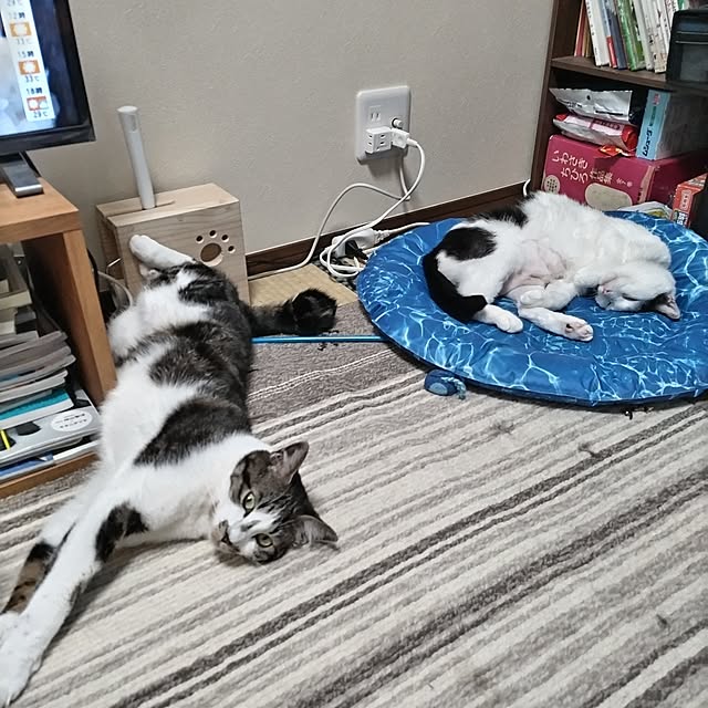 yuuさんの実例写真