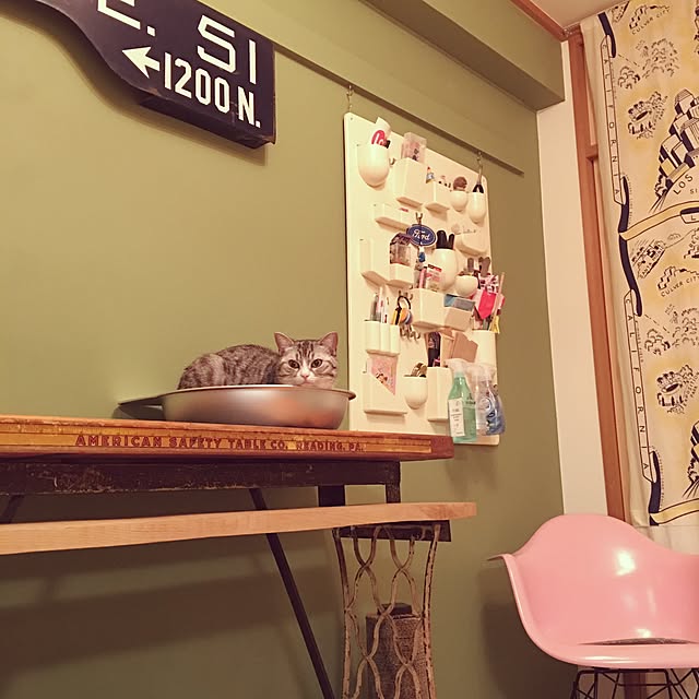 Shojiさんの実例写真