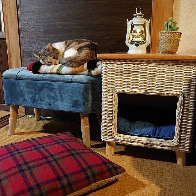 fukuさんの実例写真
