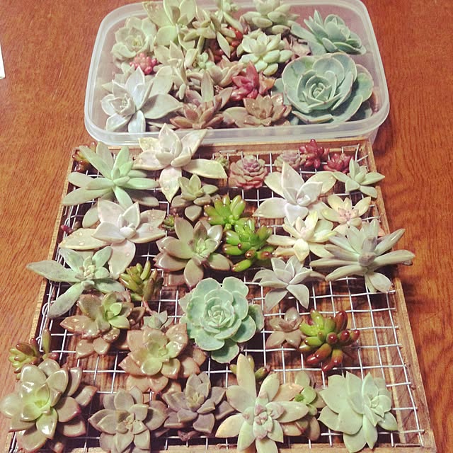 Y.Mさんの実例写真