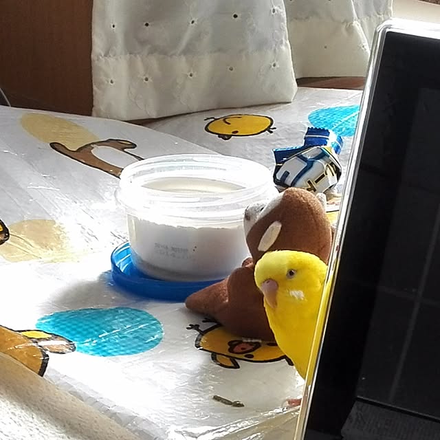 pipiさんの実例写真
