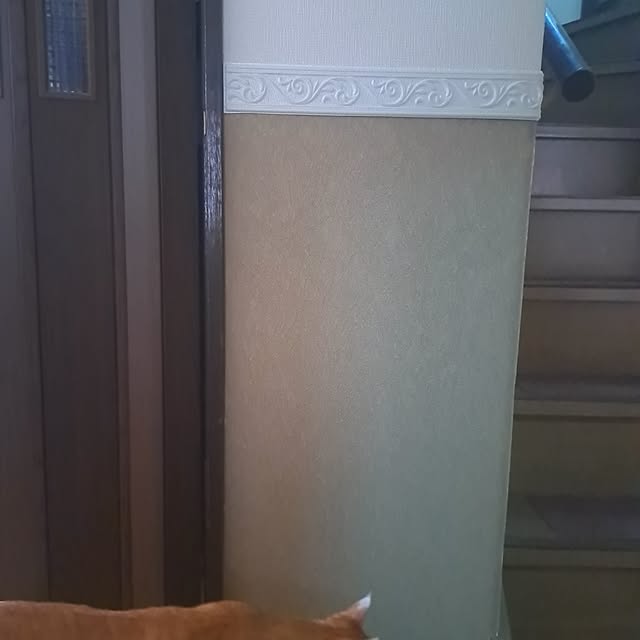 yoyoyoさんの実例写真