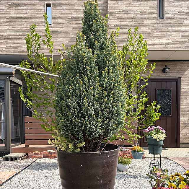 ronronさんの実例写真