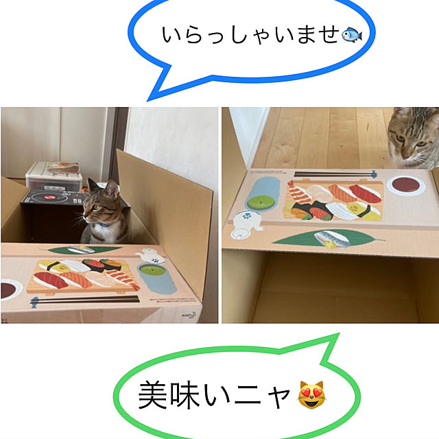 manekinekoさんの実例写真