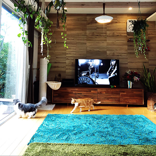 観葉植物/部屋全体のインテリア実例 - 2021-11-27 11:01:34