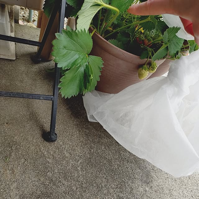 ameamekaasanさんの部屋