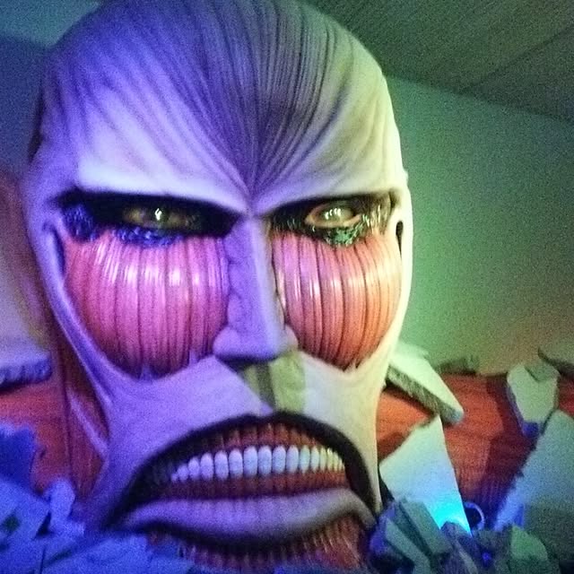 実例写真